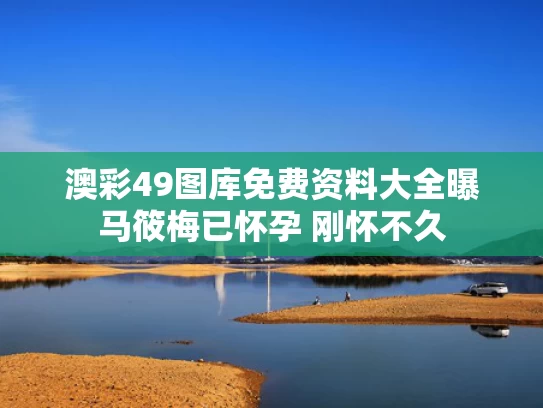 2025年5月19日 第5页