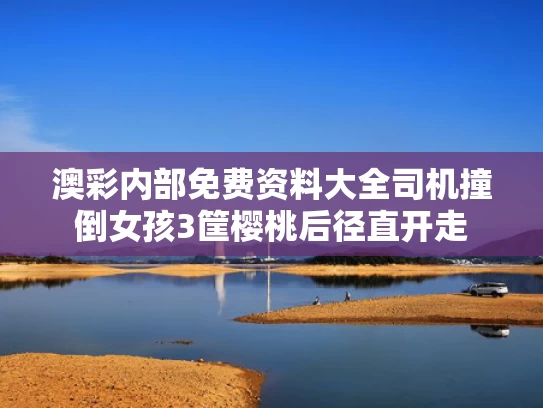 澳彩内部免费资料大全	司机撞倒女孩3筐樱桃后径直开走