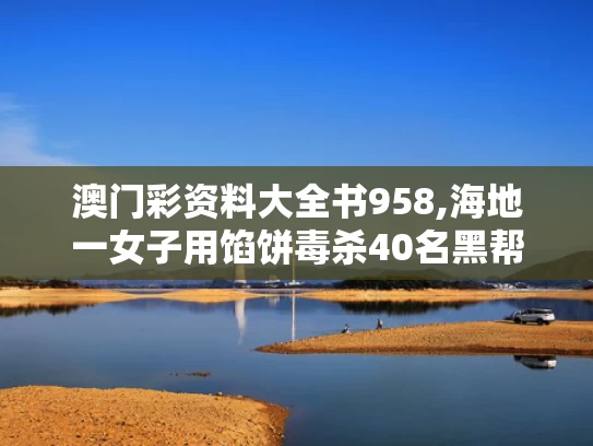 澳门彩资料大全书958,海地一女子用馅饼毒杀40名黑帮分子