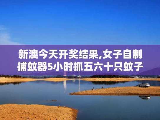 新澳今天开奖结果,女子自制捕蚊器5小时抓五六十只蚊子