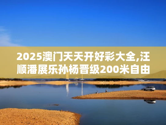 2025澳门天天开好彩大全,汪顺潘展乐孙杨晋级200米自由泳决赛