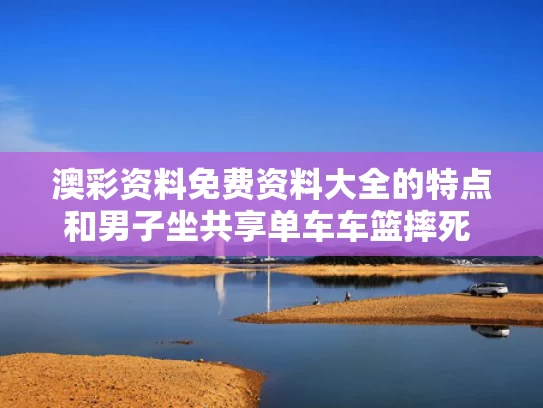 澳彩资料免费资料大全的特点	和男子坐共享单车车篮摔死 同伴担全责与男孩骑共享单车被撞身亡,怎么判