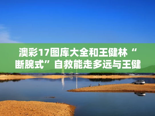 澳彩17图库大全	和王健林“断腕式”自救能走多远与王健林现场摔杯子