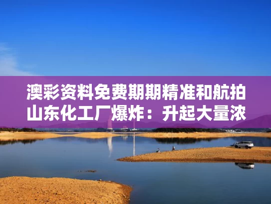 澳彩资料免费期期精准	和航拍山东化工厂爆炸：升起大量浓烟与山东一化工厂