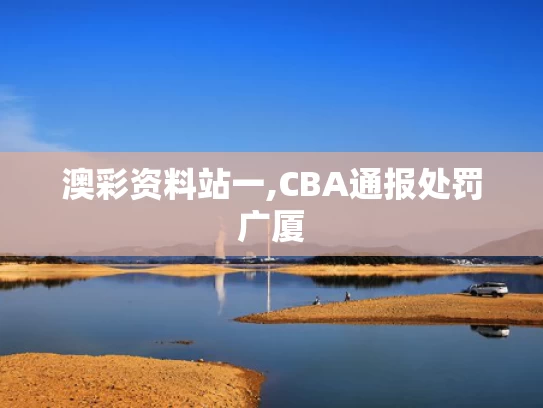 澳彩资料站一,CBA通报处罚广厦