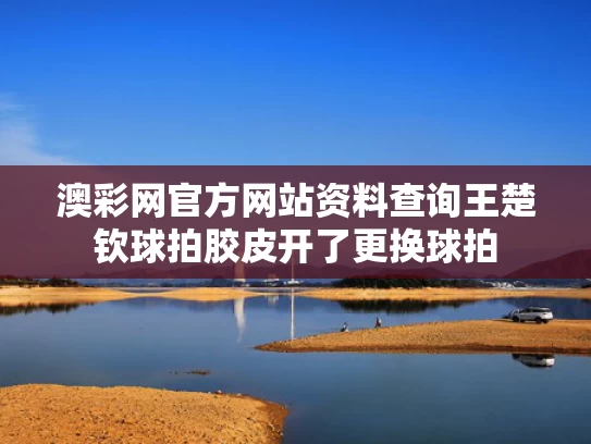 澳彩网官方网站资料查询	王楚钦球拍胶皮开了更换球拍