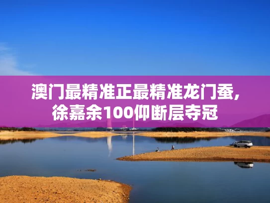 澳门最精准正最精准龙门蚕,徐嘉余100仰断层夺冠