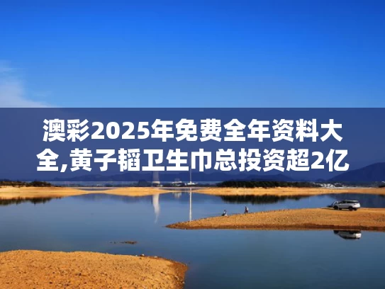 澳彩2025年免费全年资料大全,黄子韬卫生巾总投资超2亿