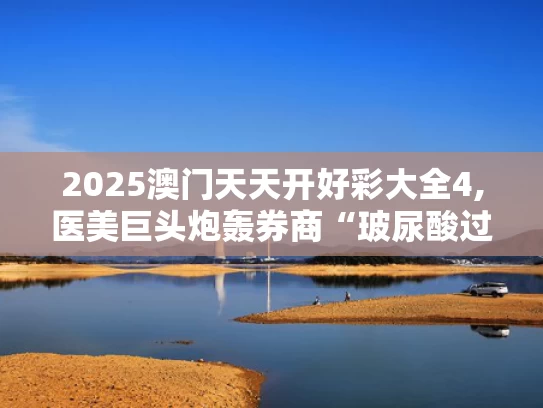 2025澳门天天开好彩大全4,医美巨头炮轰券商“玻尿酸过时”论
