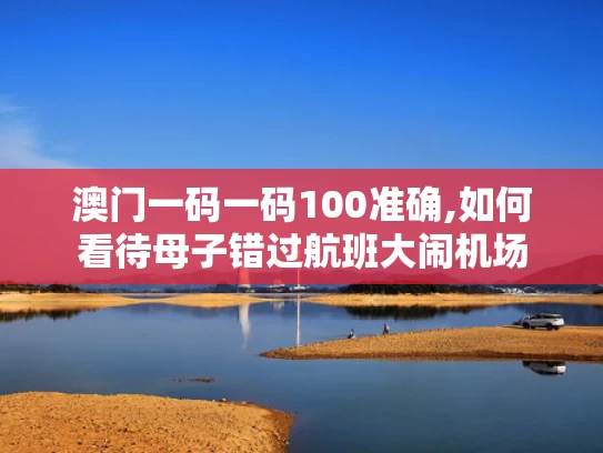 澳门一码一码100准确,如何看待母子错过航班大闹机场