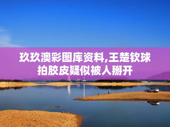 玖玖澳彩图库资料,王楚钦球拍胶皮疑似被人掰开