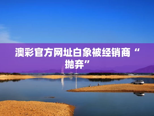 澳彩官方网址	白象被经销商“抛弃”