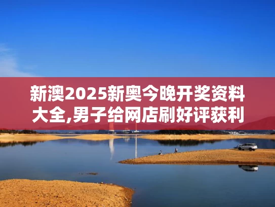 新澳2025新奥今晚开奖资料大全,男子给网店刷好评获利780万被判刑