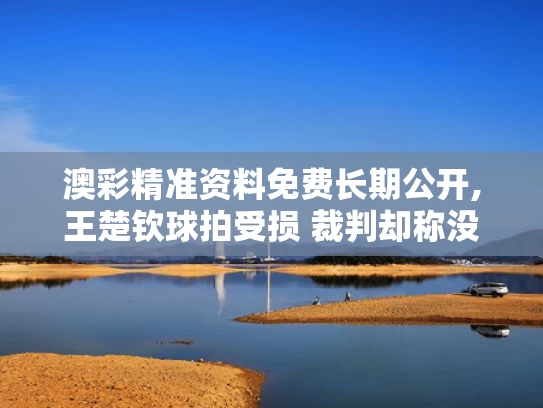 澳彩精准资料免费长期公开,王楚钦球拍受损 裁判却称没关系