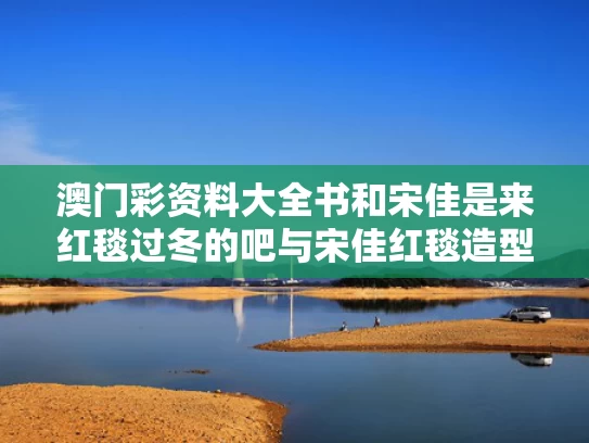 澳门彩资料大全书	和宋佳是来红毯过冬的吧与宋佳红毯造型
