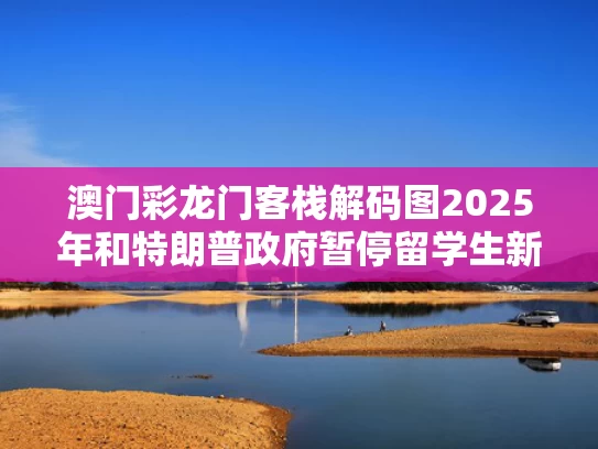 2025年5月 第504页