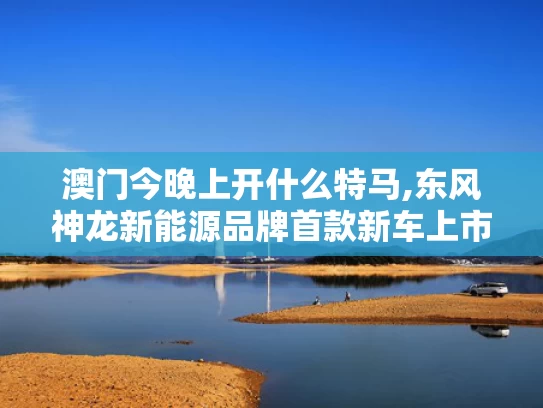 澳门今晚上开什么特马,东风神龙新能源品牌首款新车上市