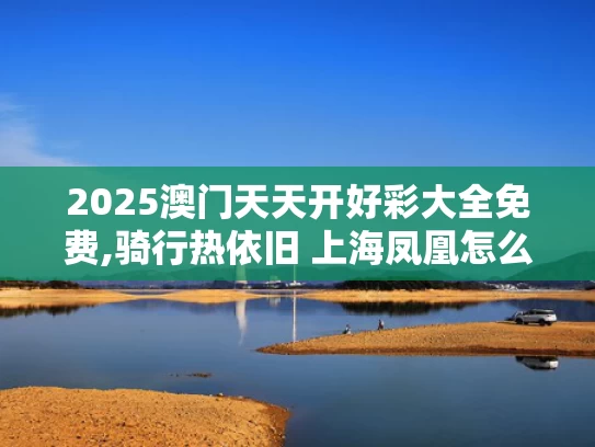 2025澳门天天开好彩大全免费,骑行热依旧 上海凤凰怎么不行了