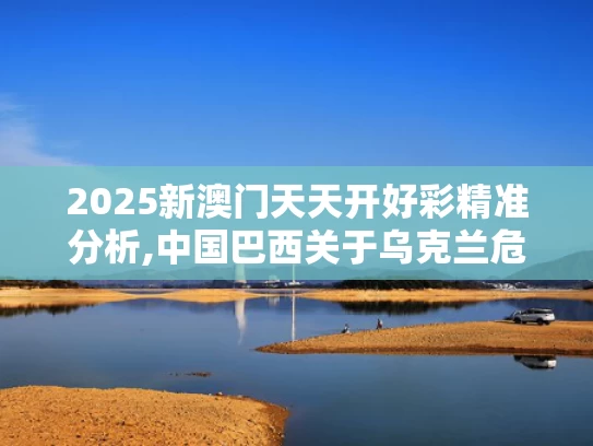 2025新澳门天天开好彩精准分析,中国巴西关于乌克兰危机的联合声明