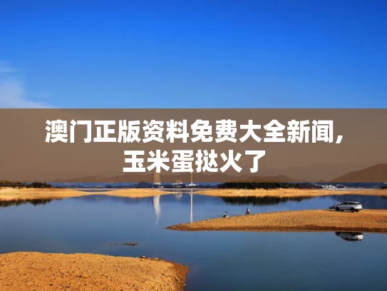 澳门正版资料免费大全新闻,玉米蛋挞火了