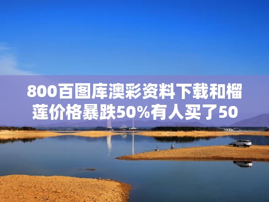 2025年5月30日 第186页