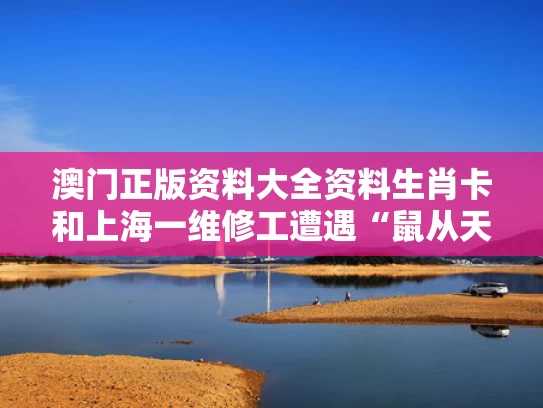 澳门正版资料大全资料生肖卡和上海一维修工遭遇“鼠从天降”与上海hi维修工作人员工资