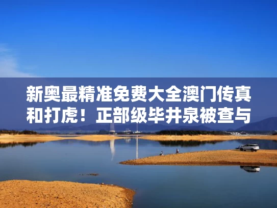 新奥最精准免费大全澳门传真和打虎！正部级毕井泉被查与毕京建个人简历