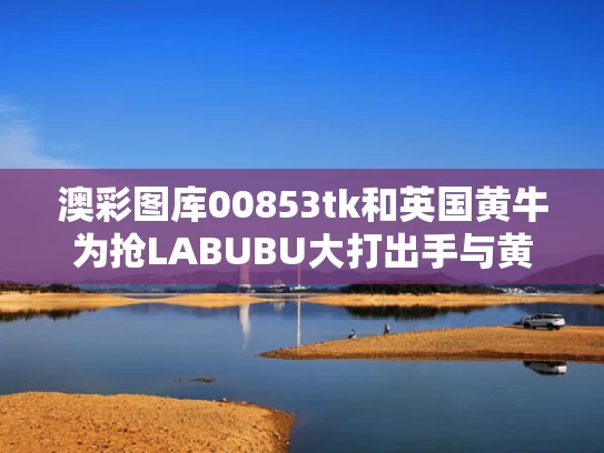 澳彩图库00853tk	和英国黄牛为抢LABUBU大打出手与黄牛秒杀