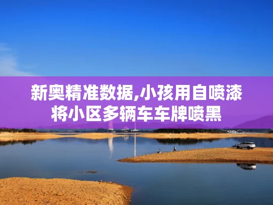 新奥精准数据,小孩用自喷漆将小区多辆车车牌喷黑