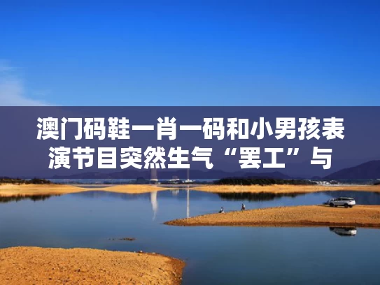 澳门码鞋一肖一码和小男孩表演节目突然生气“罢工”与