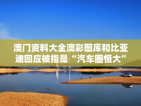 澳门资料大全澳彩图库	和比亚迪回应被指是“汽车圈恒大”与