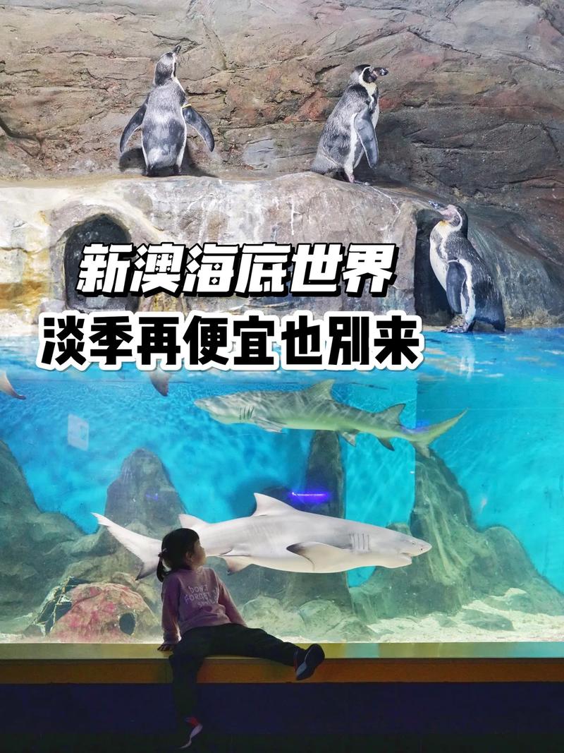 新澳2025最新资料大全论坛和在动物园偷拽老虎毛与在动物园偷拽老虎毛毛
