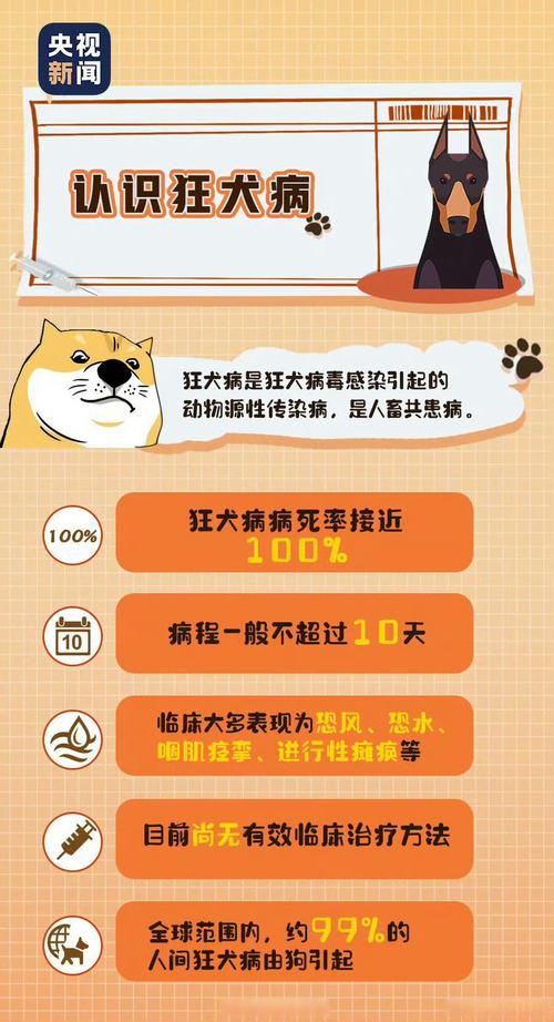 新奥精准数据免费开放和狗闯村民家咬伤女童与村里的狗咬人,应该找谁解决